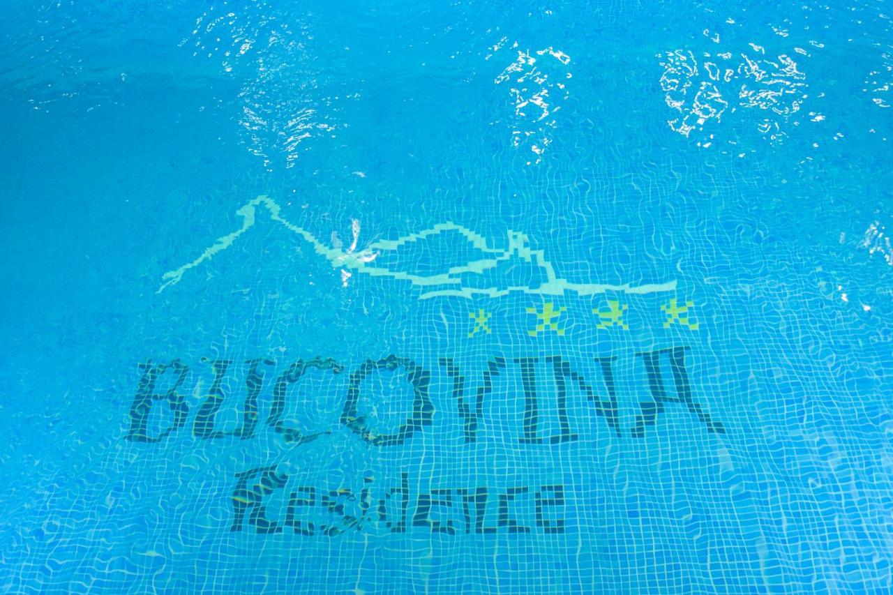 Guest house Bucovina & 4*